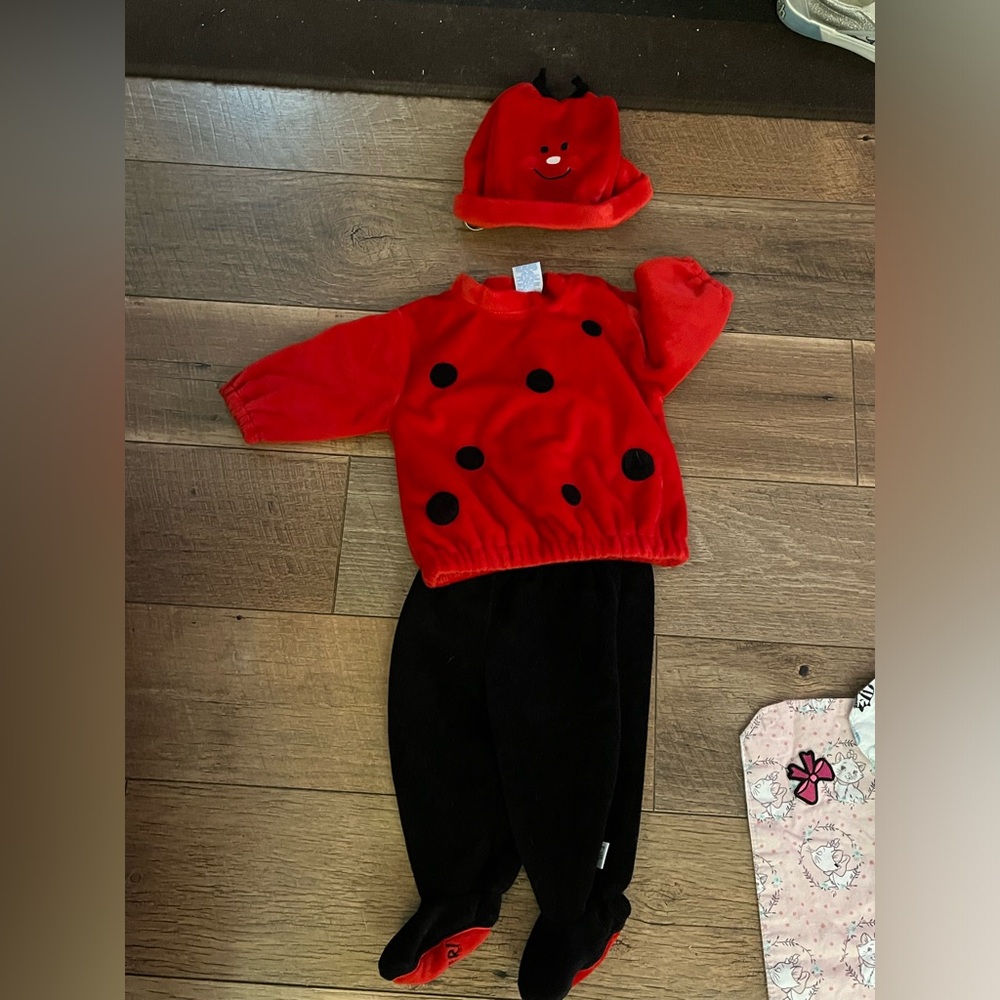 Ladybug costume